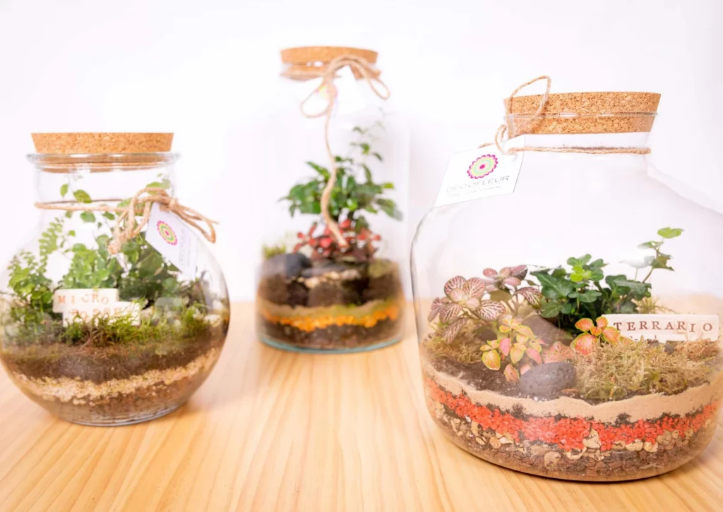 DECOFLEUR, Floristería Colmenar Viejo